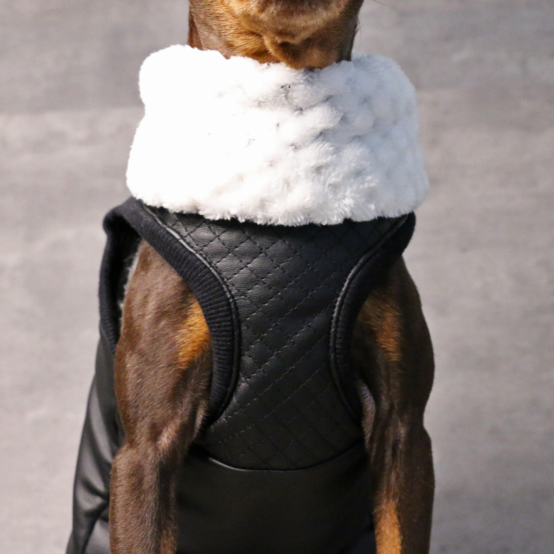 PLEASURE VEST
