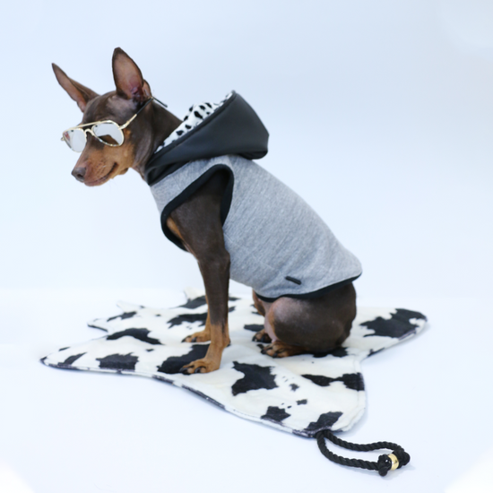 DAL HOOD TANK