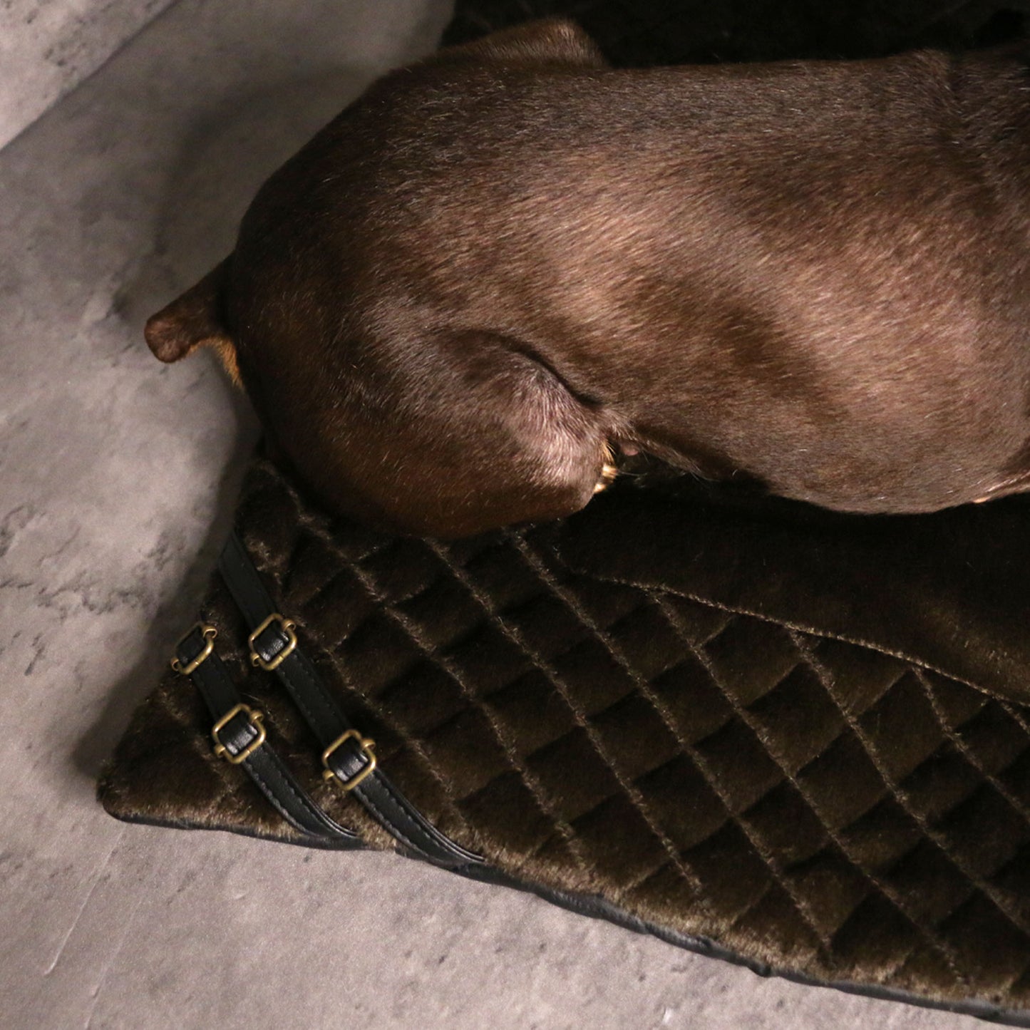 HORSE MAT