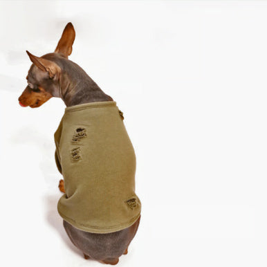 Olive T
