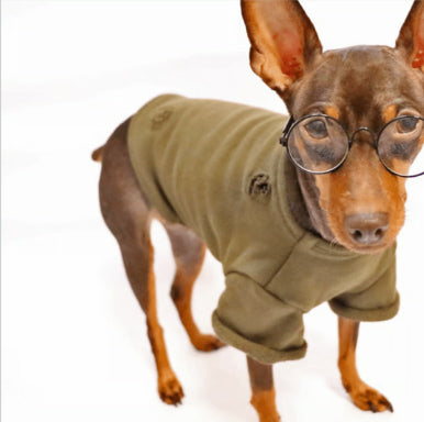 Olive T