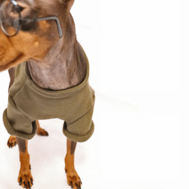 Olive T