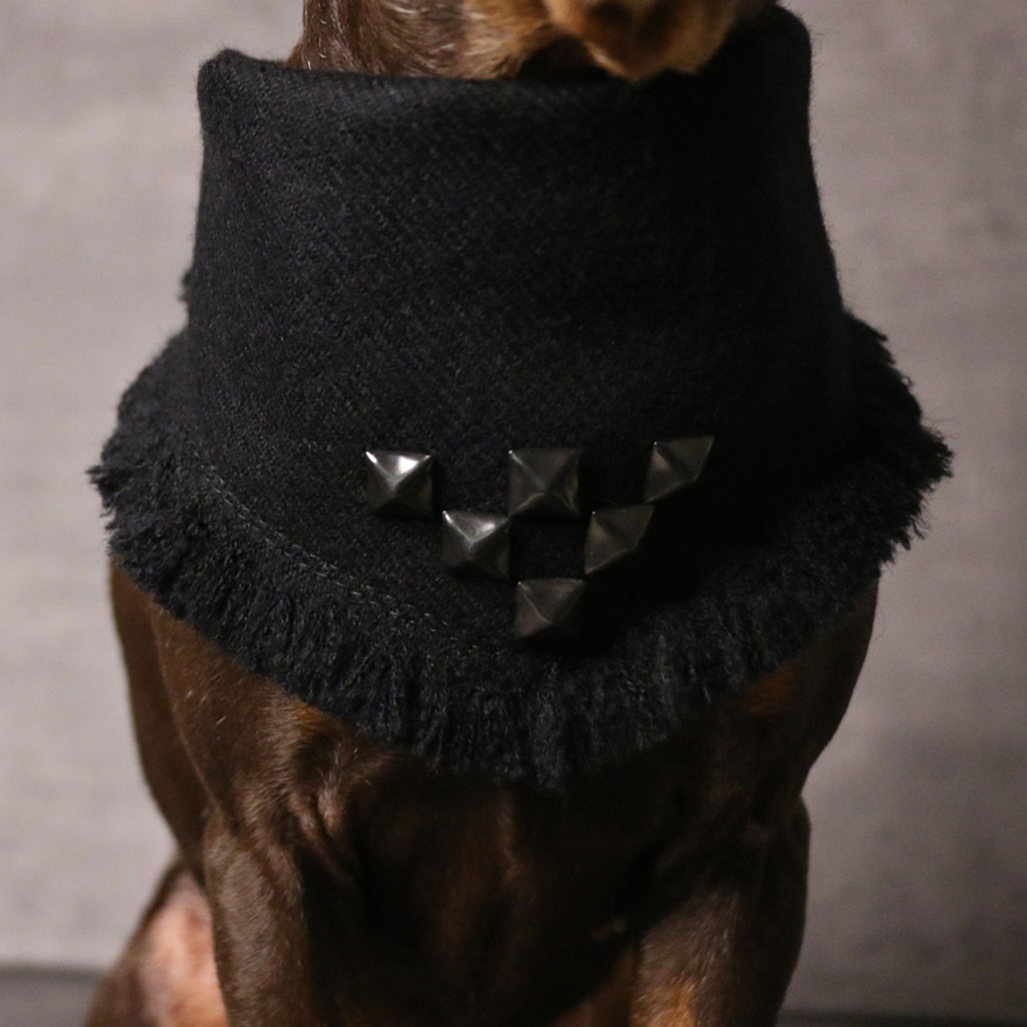 BULLET PROOF STOLE