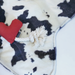 bestseller,dogwear,thedarlingtokyo