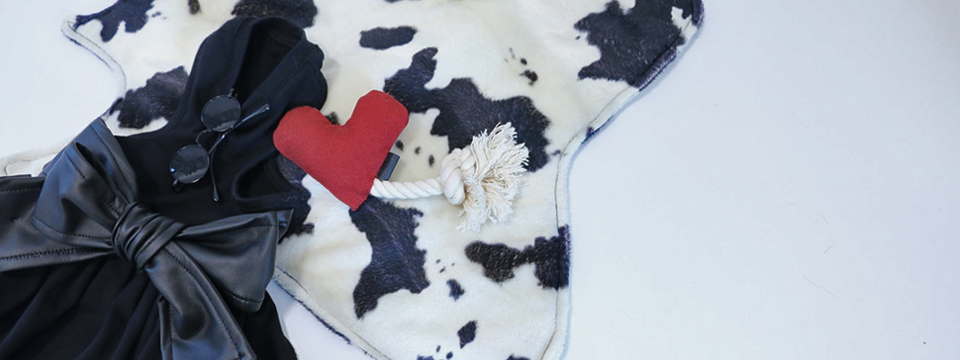 bestseller,dogwear,thedarlingtokyo